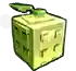 Cantaloupe